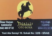 Diriliş Oto Boya